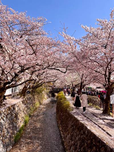 Kyoto 🇯🇵